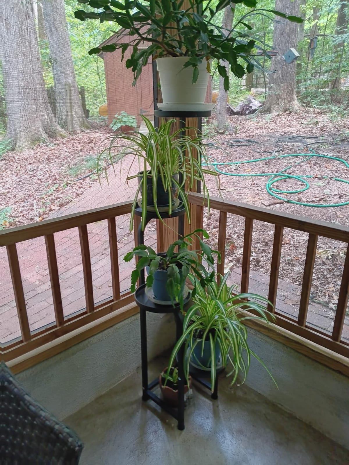 Bamworld Tall Plant Stand Indoor Outdoor Corner Metal Flower Pot Stands | 4 Tier Heavy Duty Plant Shelf for Multiple Plants Plant Table for Patio Garden Balcony Living Room Bedroom(Patent Design) customer photo 1