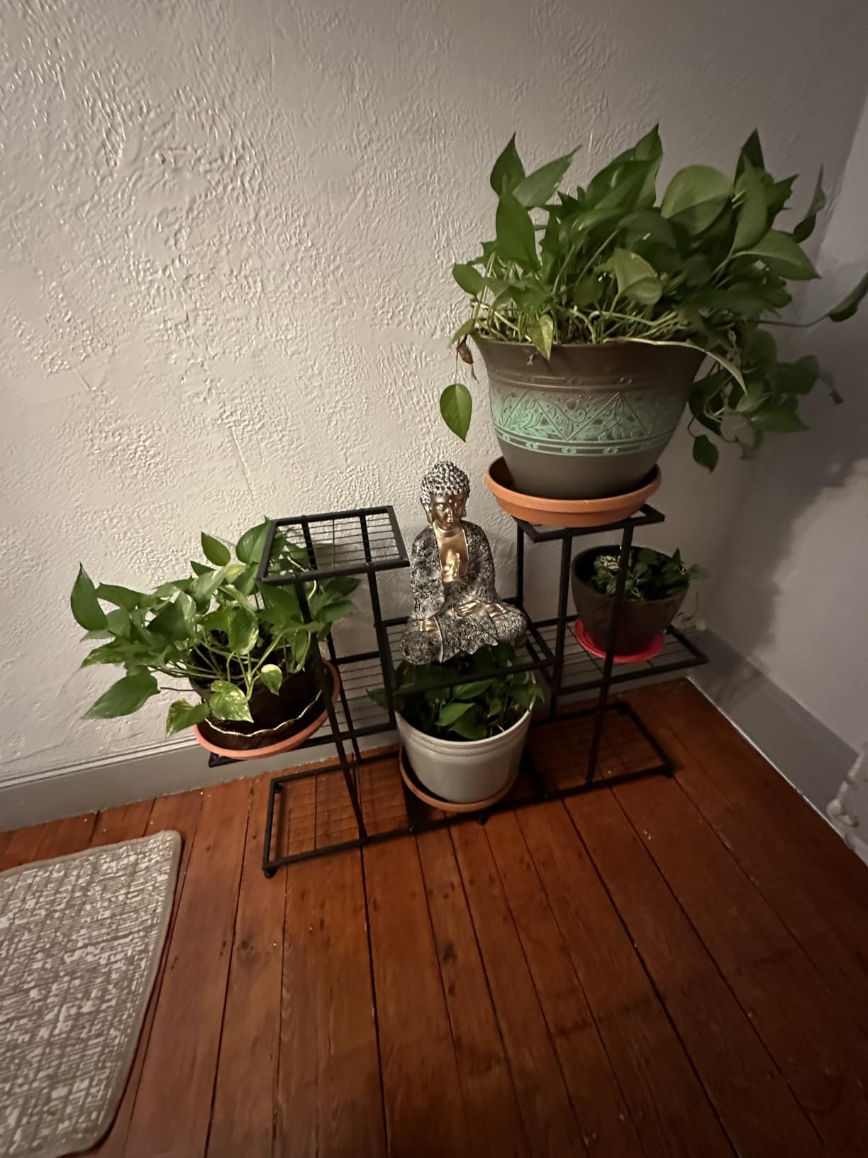 Twhep Metal Plant Stand, 5 Tiers Multifunctional Plant Stands for Indoor Plants, Decorative Black Steel Plant Shelf for Indoor Patio Garden Balcony and Yard (4 tiers 12 pots) customer photo 1