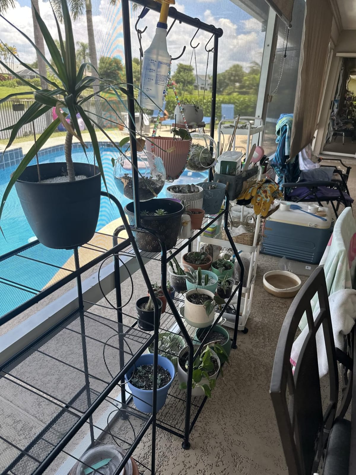 Simple Trending Plant Stand Indoor Outdoor, Metal 3 Tier Tall Hanging Plant Shelf for Multiple Flower Planter Large Heavy Duty Ladder Plant Holder for Garden, Black customer photo 1