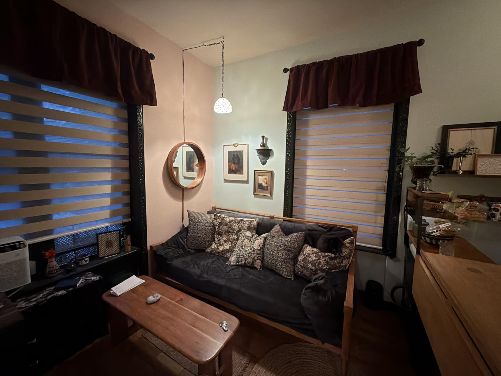 Zebra Blinds for Windows (35
