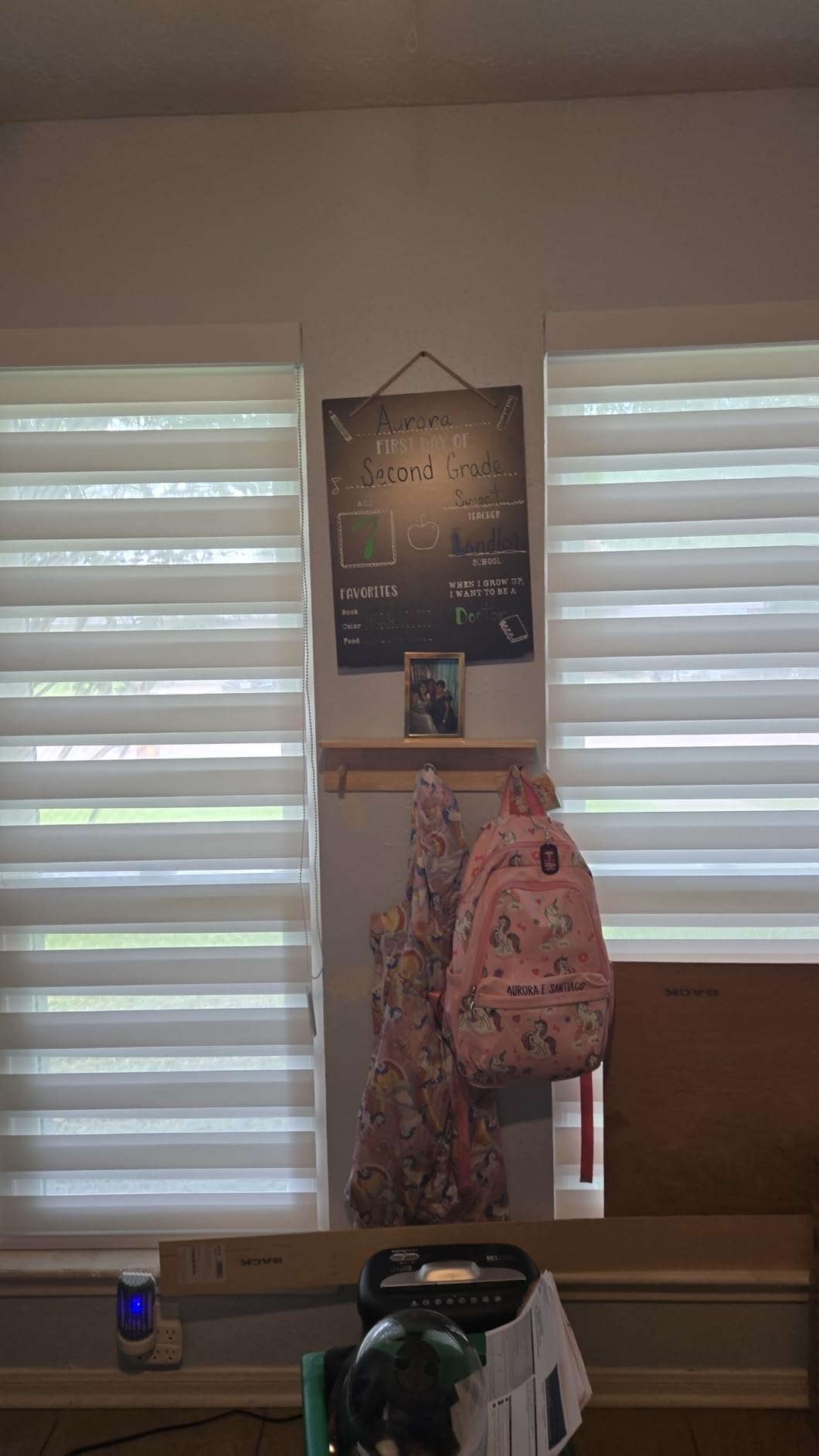 Zebra Blinds for Windows (35