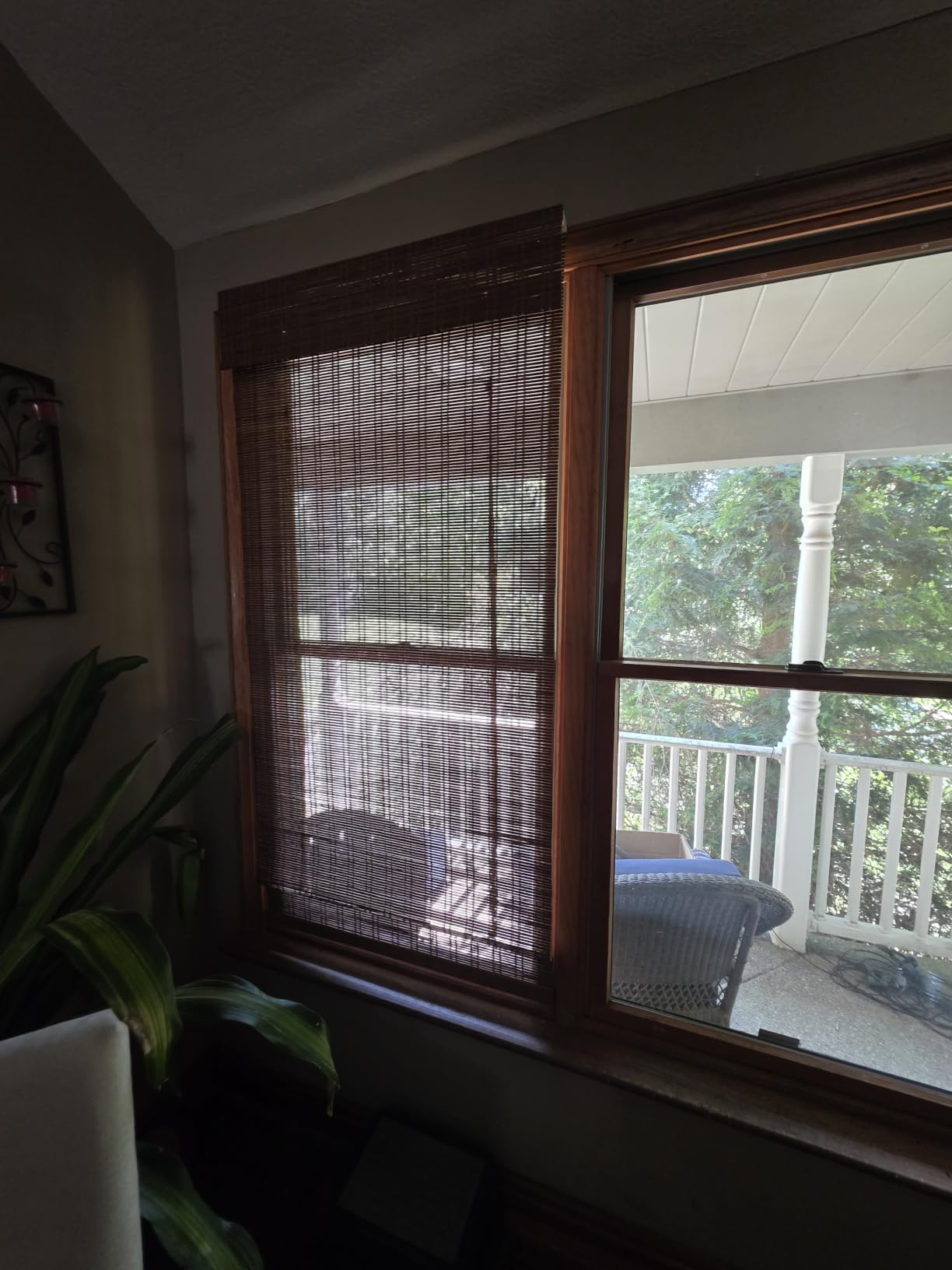 Calyx Interiors Bamboo Roman Shades w Valance 22.5