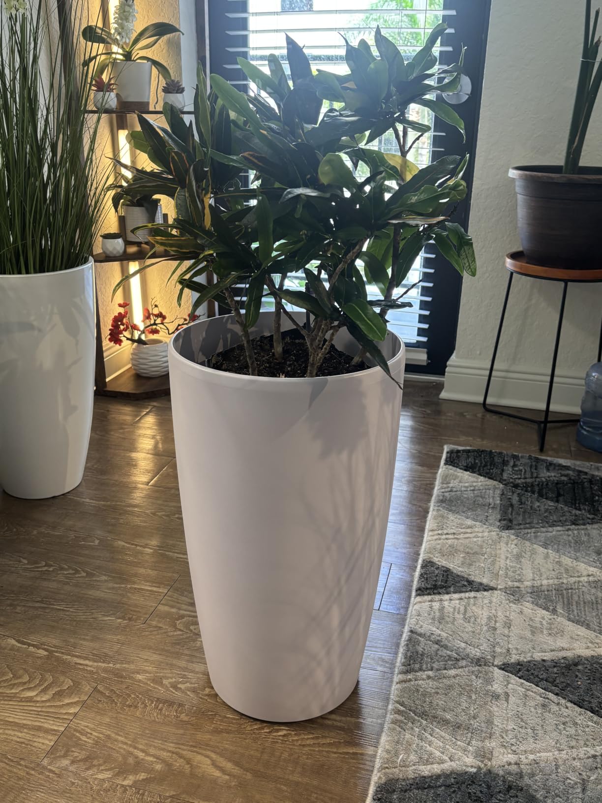 SnugNiture Set of 2 Round Tall Planters 22 Inch, Large Planter for Indoor Outdoor Plants, Modern Flower Pot Containers Large Decorative Tree Planter, Black customer photo 2