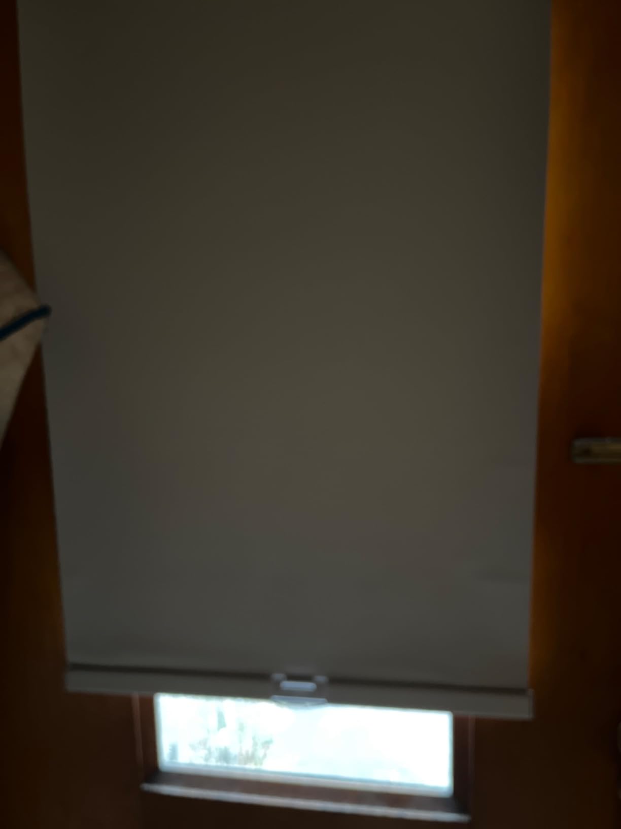Calyx INTERIORS Blackout Roller Shades, Thermal Insulating Blinds, Cordless, 22