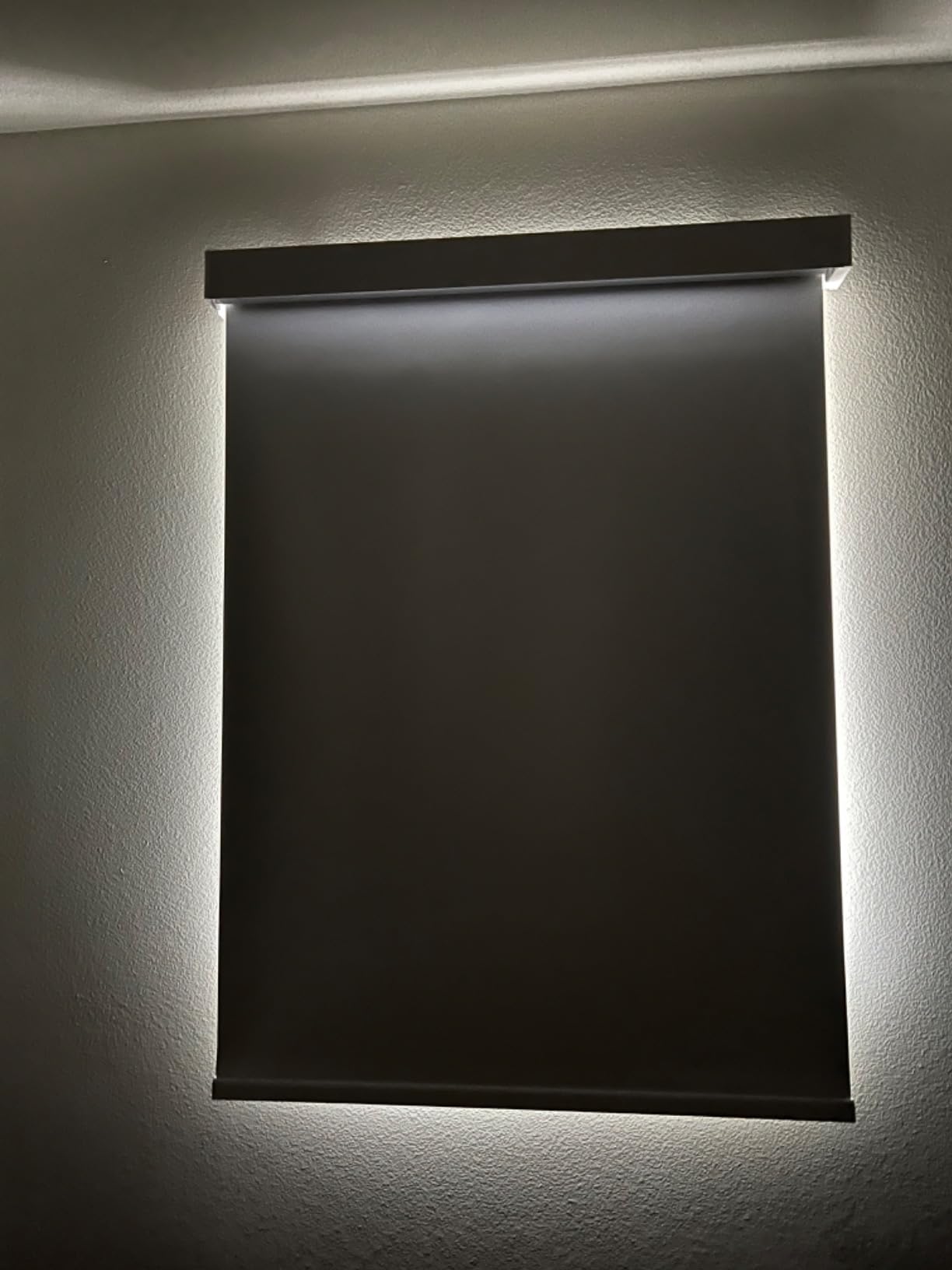Calyx INTERIORS Blackout Roller Shades, Thermal Insulating Blinds, Cordless, 22