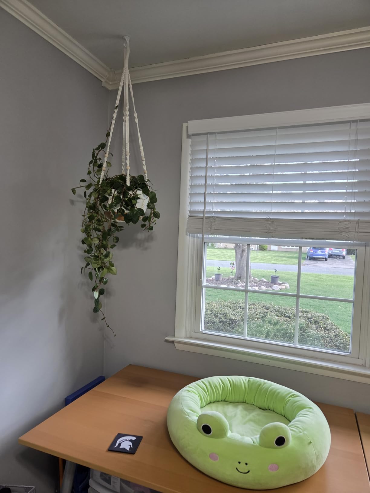 Set of 2-10 Inch Hanging Planters for Indoor Plants with Self-Watering Includes Hanging Pots for Plants, Outdoor Hanging Plant Pot with Drainage, and 2 Types of Hanging Baskets Hangers (White, 10inch) customer photo 1