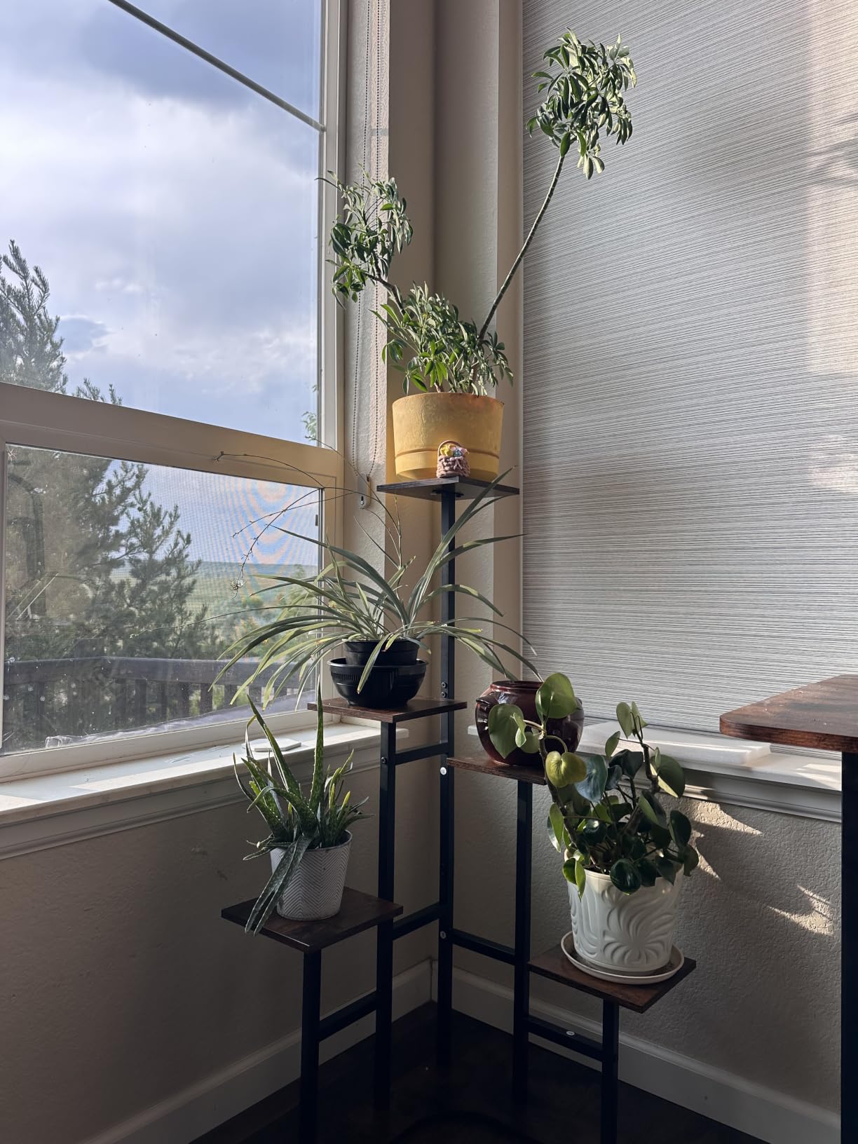 Yzosvki Corner Plant Stand Indoor 6 Tiered Corner Plant Shelf customer photo 1