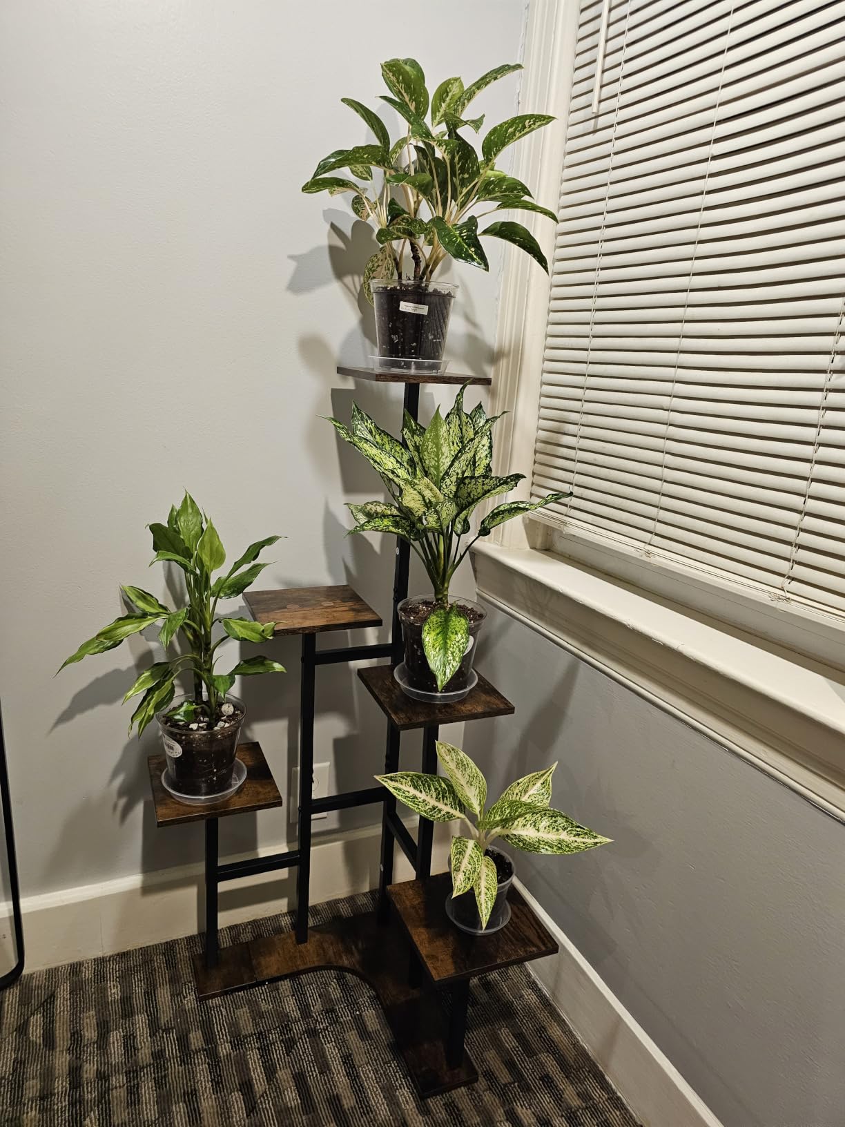 Yzosvki Corner Plant Stand Indoor 6 Tiered Corner Plant Shelf customer photo 2