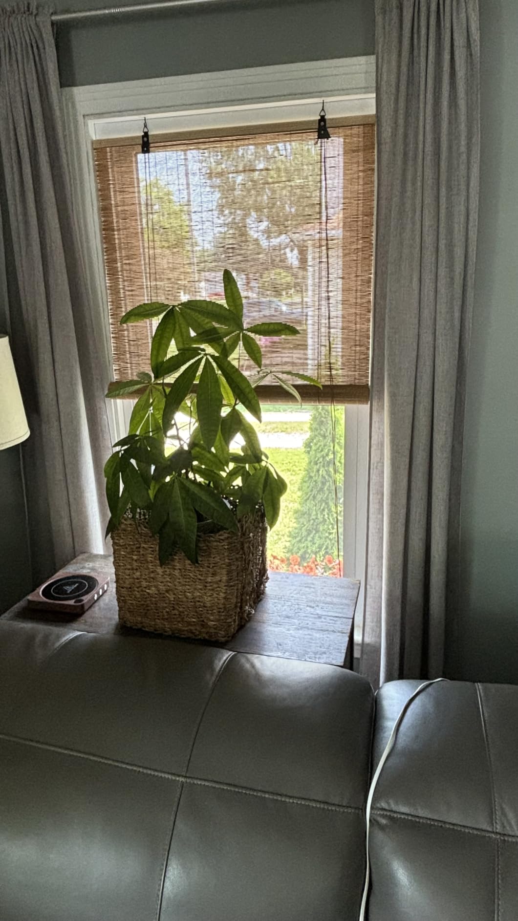 Bamboo Blinds for Interior Windows, Custom Bamboo Shades customer photo 2