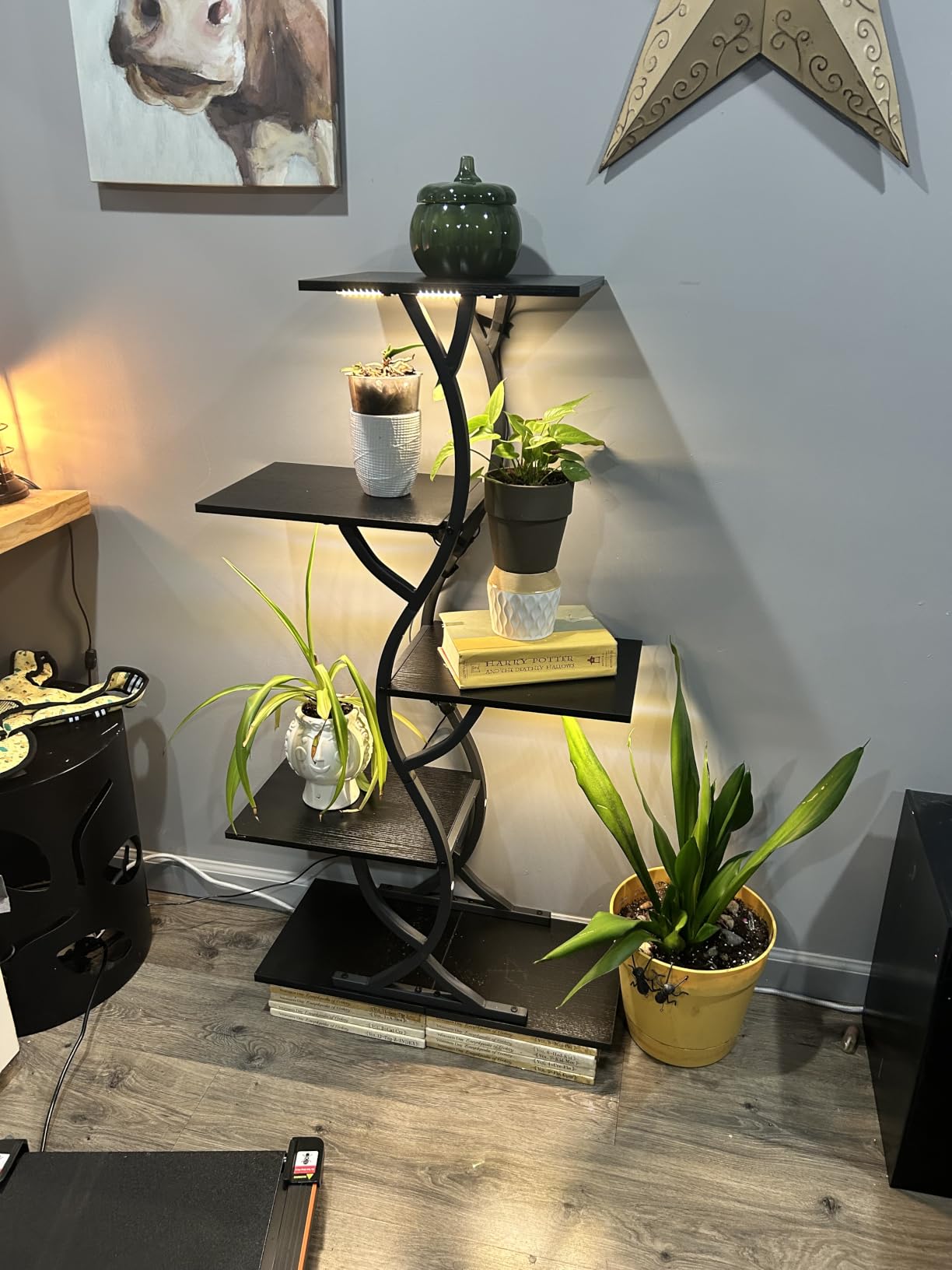Plant Stand Indoor with Grow Lights - 5 Tiered Corner Plant Shelves (Brown) customer photo 2