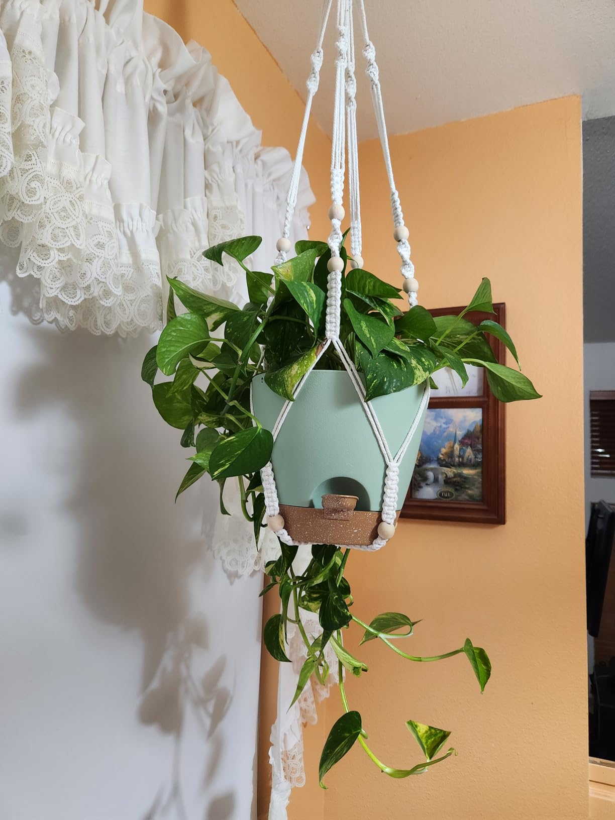 10 Inch Self Watering Hanging Planters for Indoor Outdoor Plants, 2 Pack customer photo 2