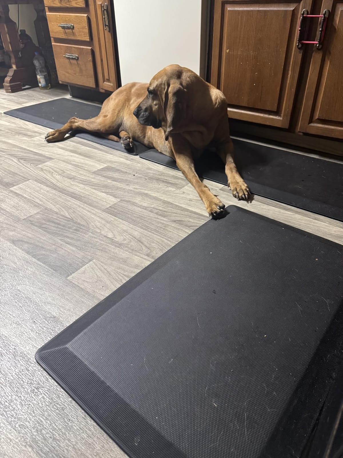 Tyrot Extra Thick Anti Fatigue Mat for Kitchen Floor, 20x32, Black customer photo 2