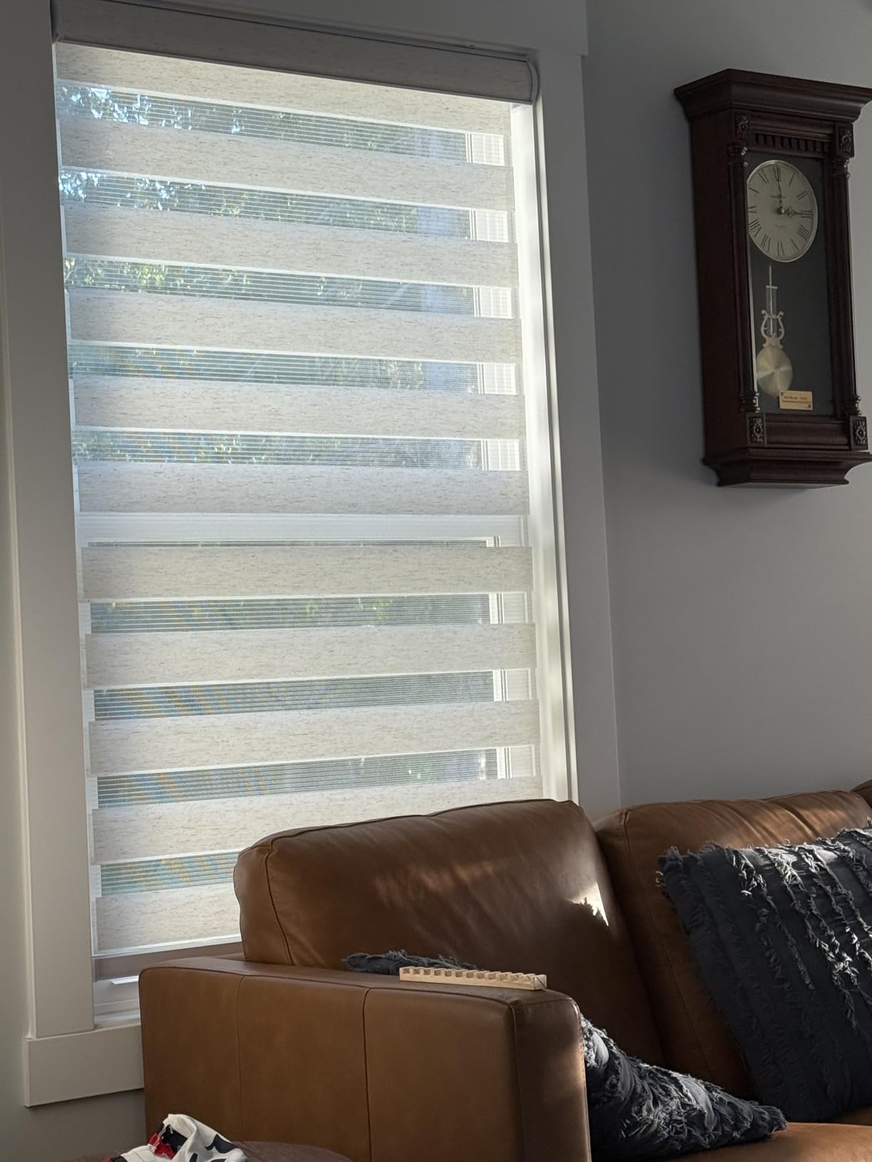 CHICOLOGY Zebra Blinds Cordless, Light Filtering, White Shade, 34.5W x 72H customer photo 1