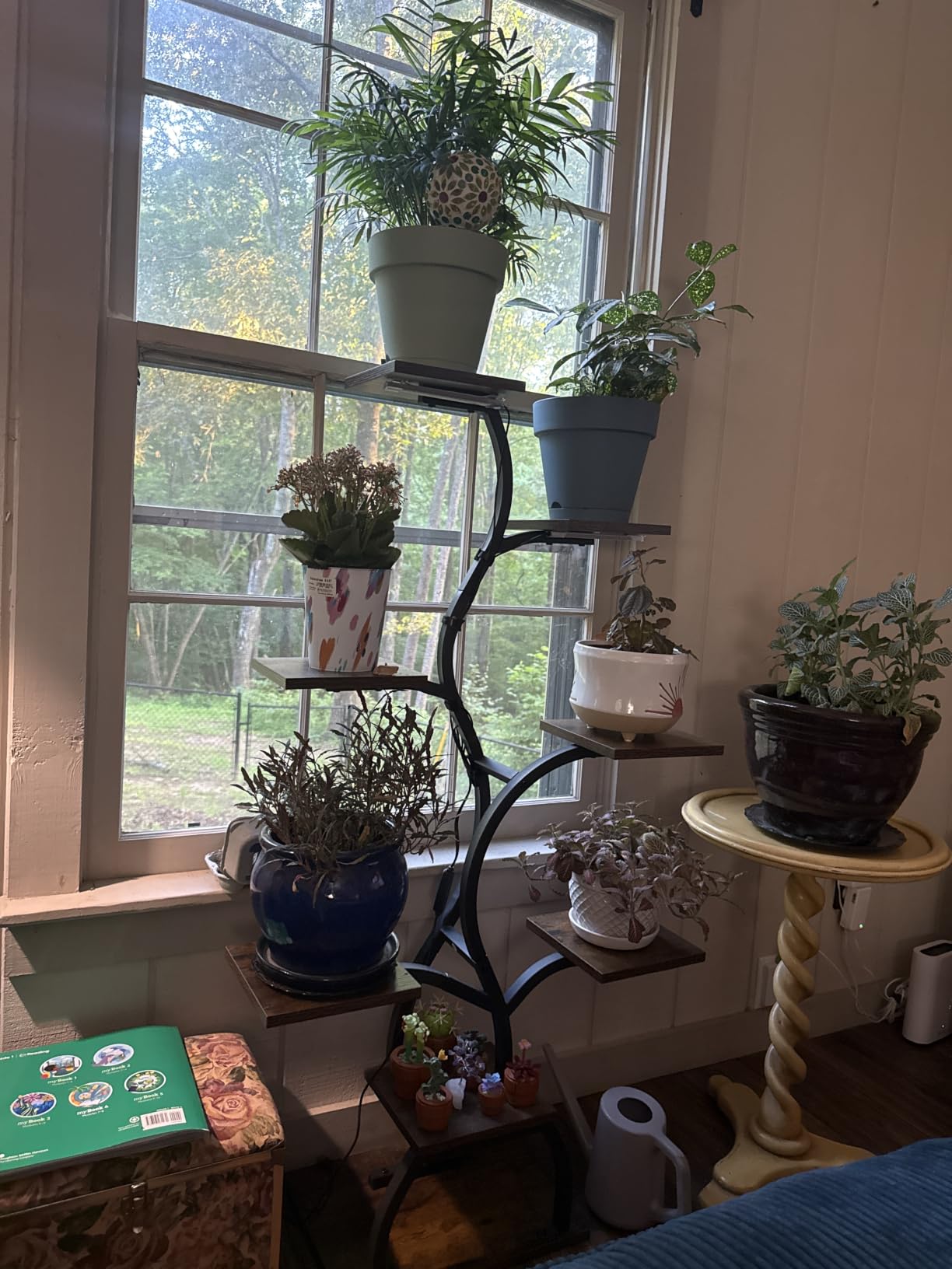Plant Stand Indoor with Grow Light - 8 Tiered Corner Plant Shelf Indoor customer photo 2