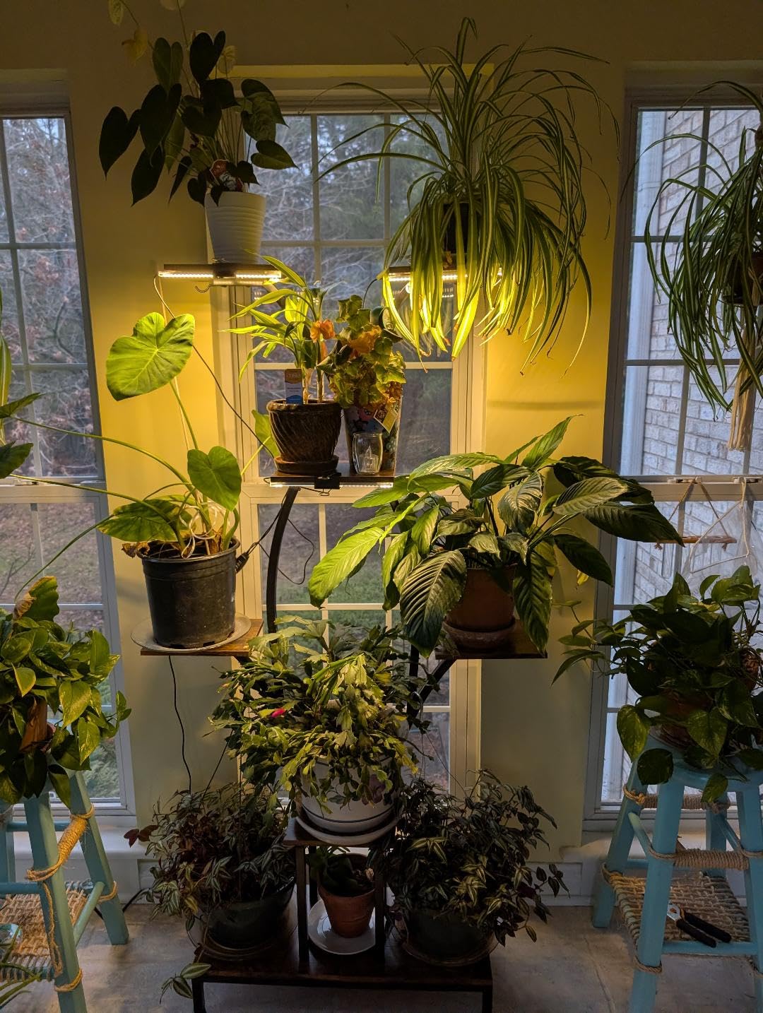Plant Stand Indoor with Grow Lights - 7 Tiered Metal Corner Shelf for Multiple Plants, 64.2