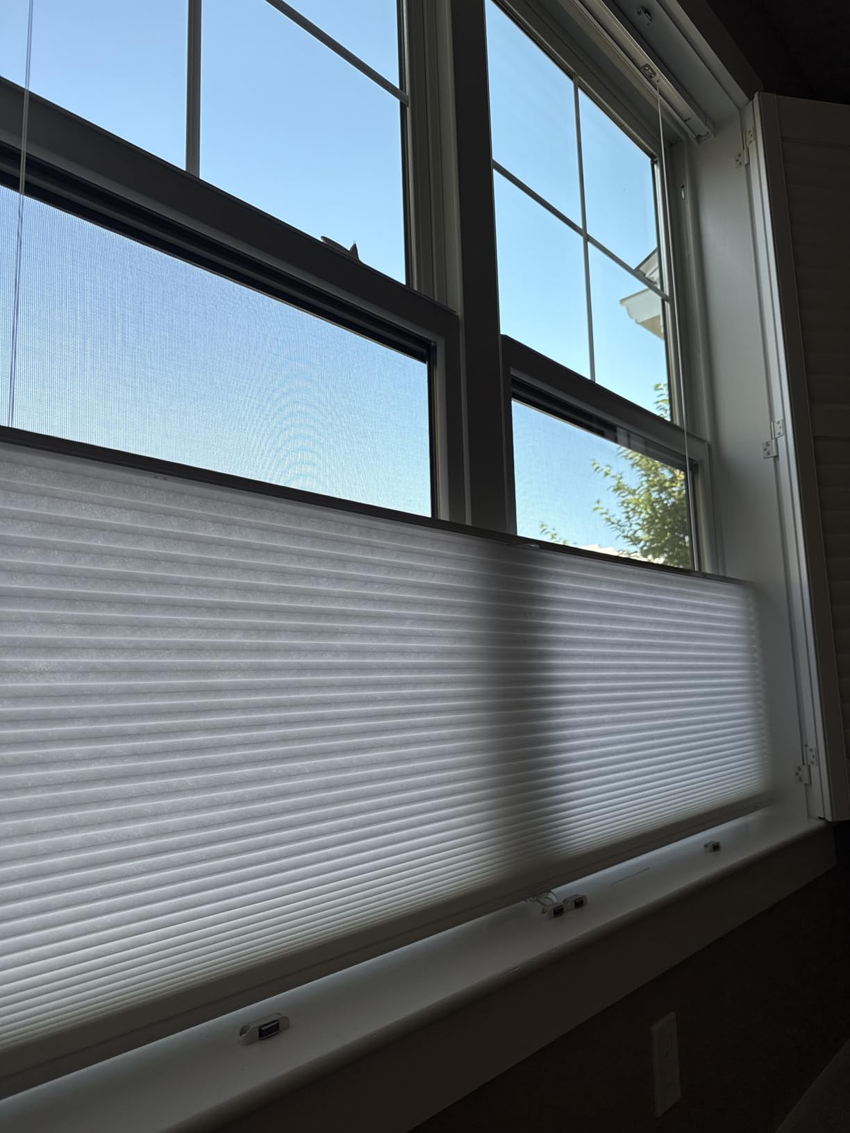 Changshade No Drill Custom Top Down Bottom Up Cellular Shades, No Tools Light Filtering Cordless Honeycomb Shades for Home,Thermal Insulation Blinds for Bedroom,Office,Living Room,Easy to Install customer photo 1