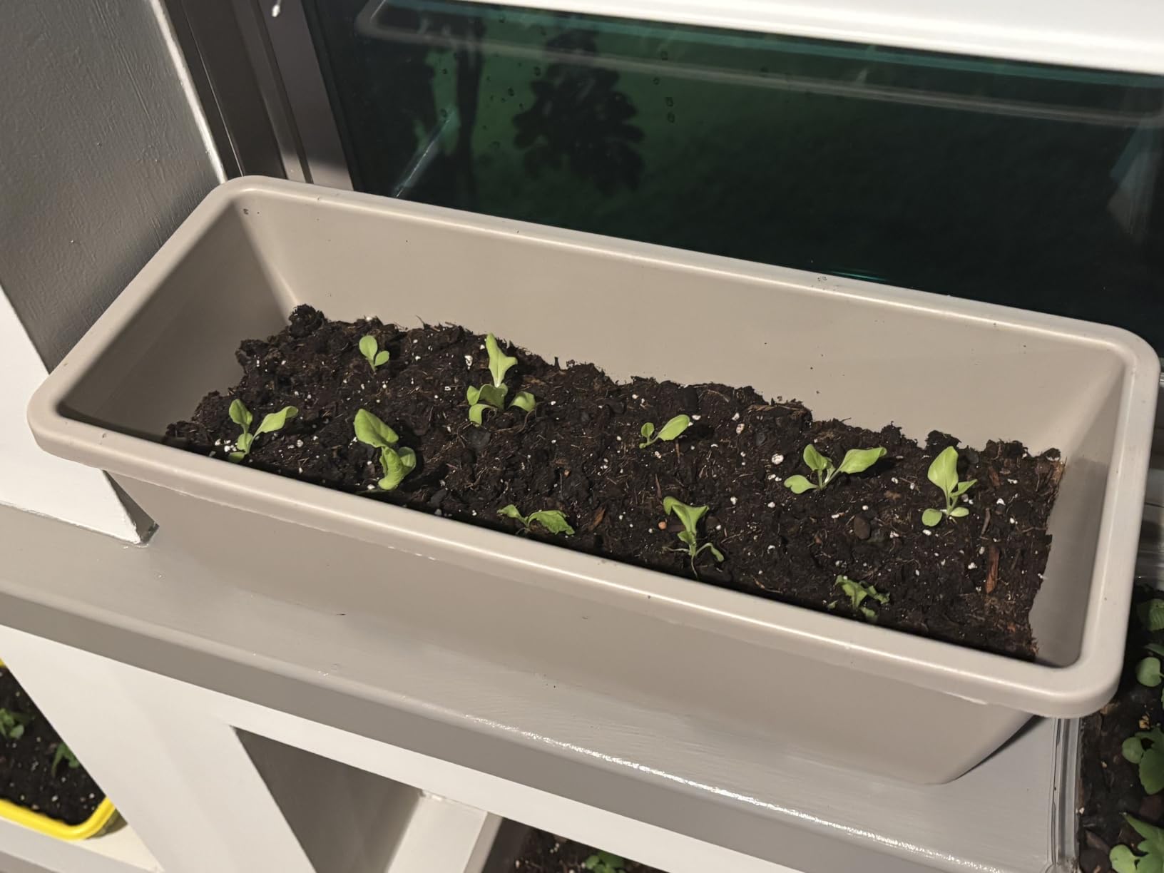 LOCONHA 7 Pack Window Box Planter, Plastic Vegetable Flower Planters Boxes customer photo 2