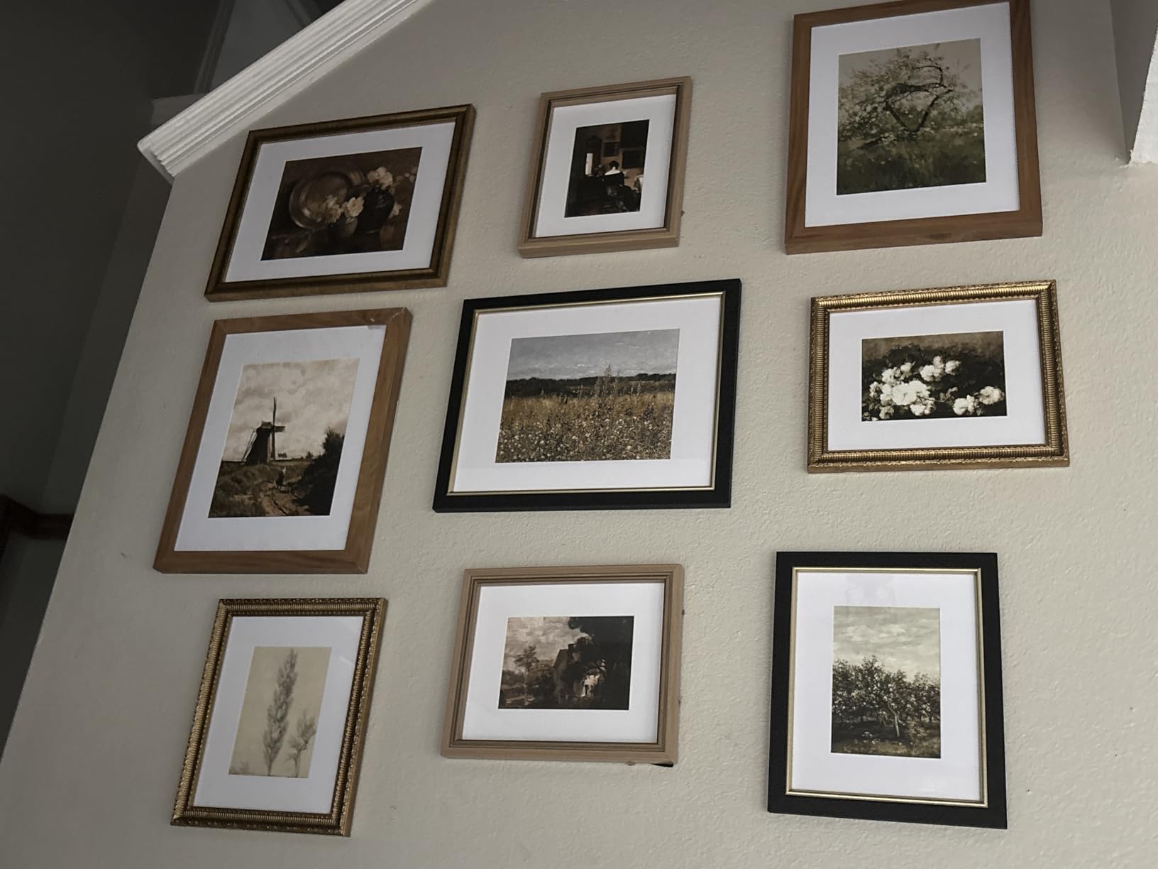 97 Decor Framed Vintage Wall Art, 16 Botanical Prints, Beige Frame customer photo 1