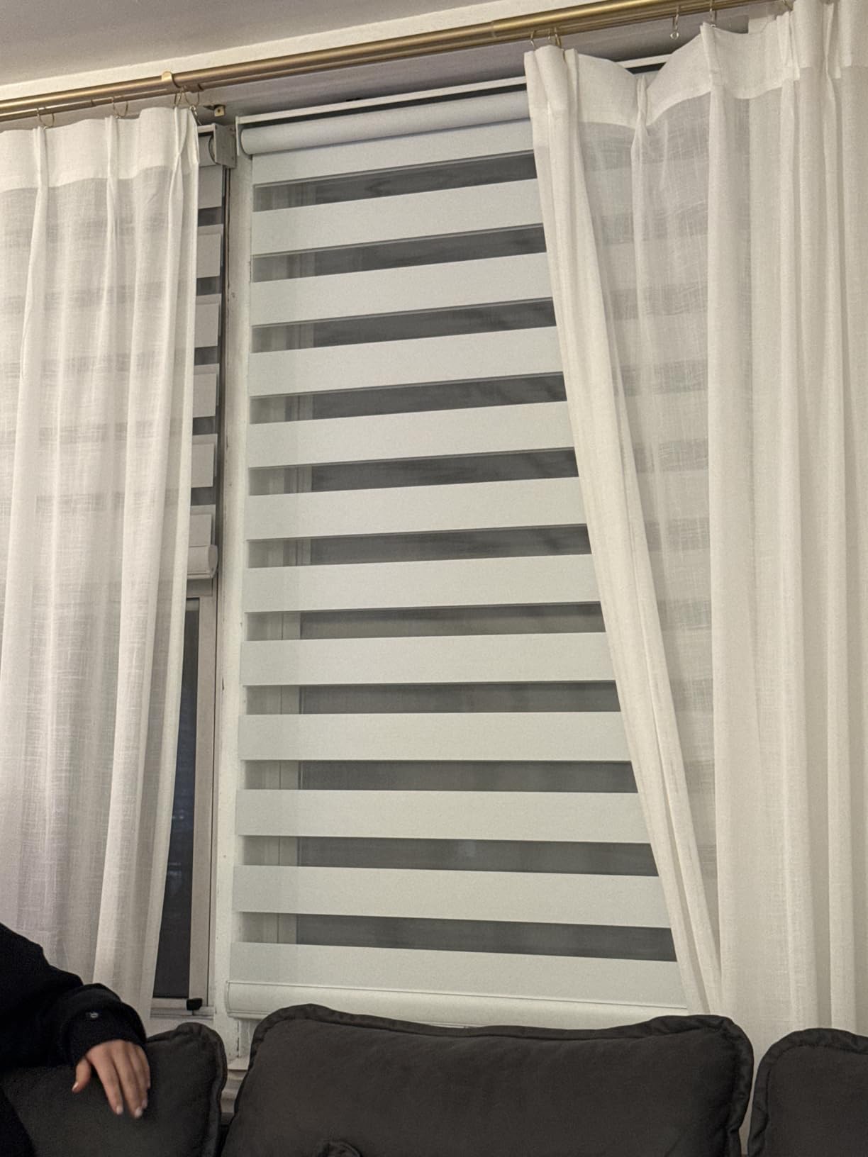Cordless Zebra Blinds for Windows Shade Dual Layer Free-Stop Light Filtering Blackout Roller Blinds Thermal Insulated Privacy Protection, Inside or Outside Mount(Beige,34''W x 72''H) customer photo 1