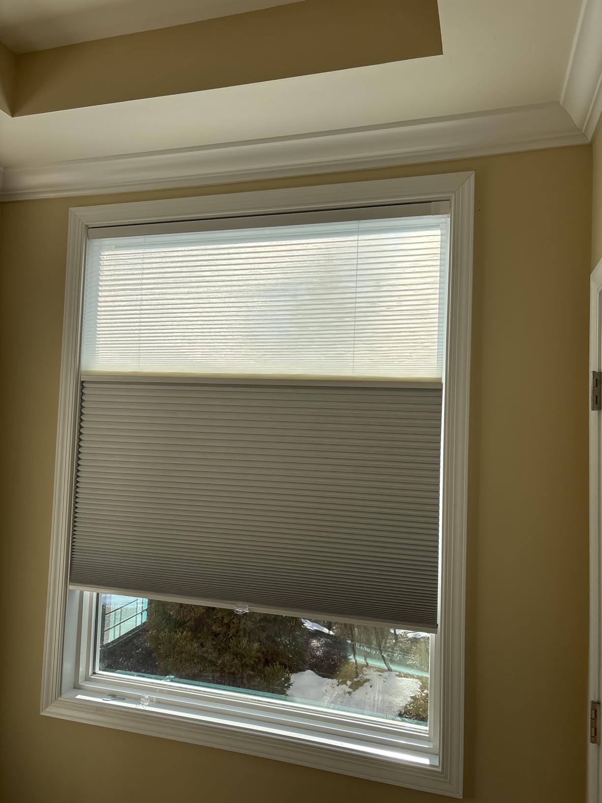 Changshade Custom Day Night Cellular Shades No Drill No Tools, Blackout/Light Filtering Double Honeycomb Blinds for Indoor Windows, Pull Down Shades for Home, Bedroom, Office, White customer photo 1