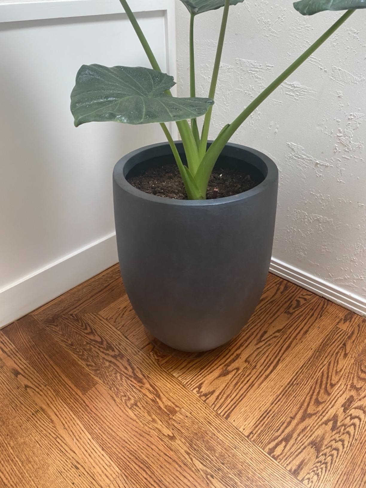 Kante Rusty Concrete Planter 21.7
