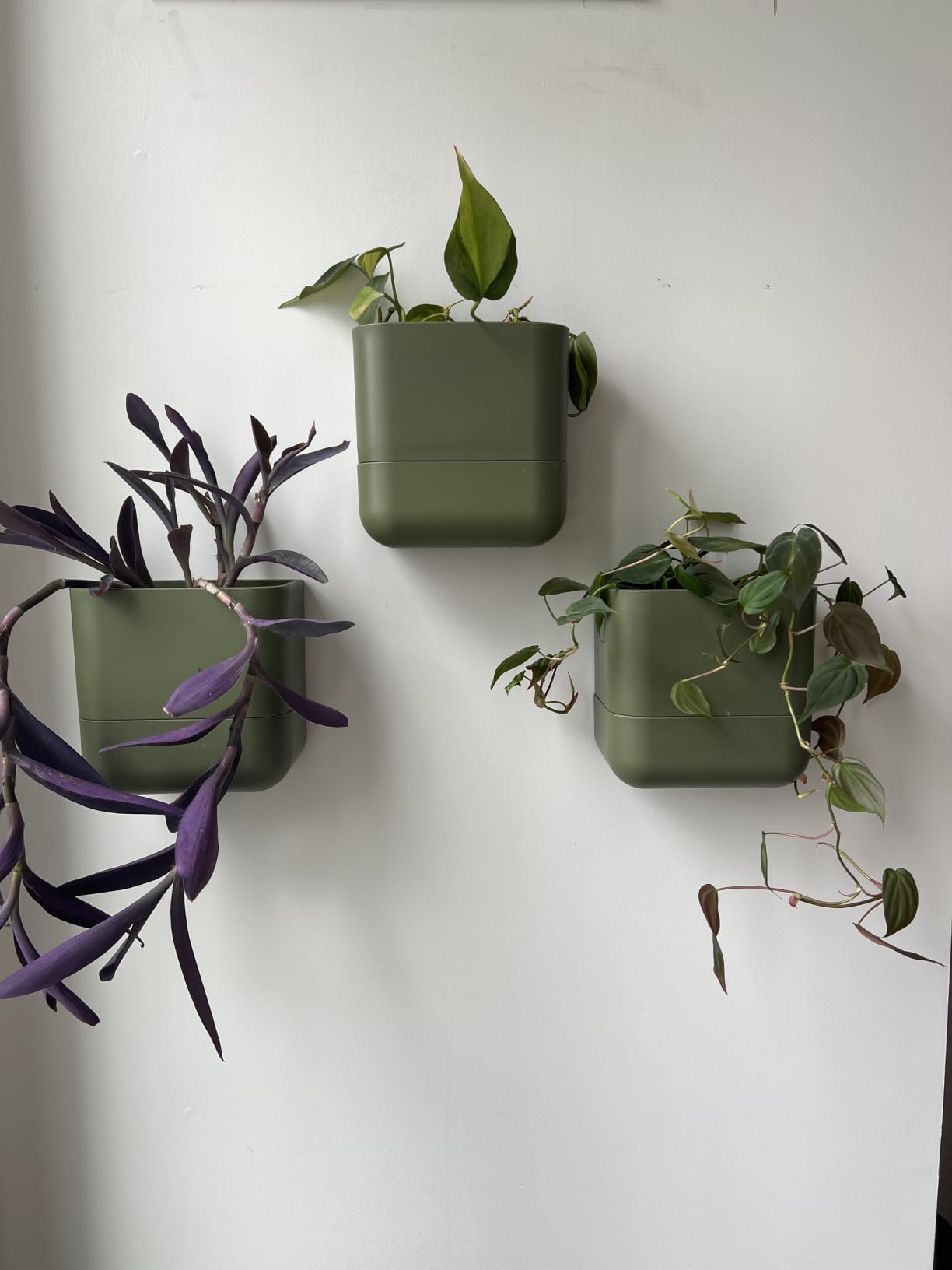 Phoenix Vine 6.5 Inch Wall Mounted Self-Watering Planter Pots for Indoor Houseplants and Herbs | Hanging Planter for Window Sills, Bathroom Walls, Home & Office Décor, Oatmeal, Set of 3, 01-C-G-3 customer photo 1