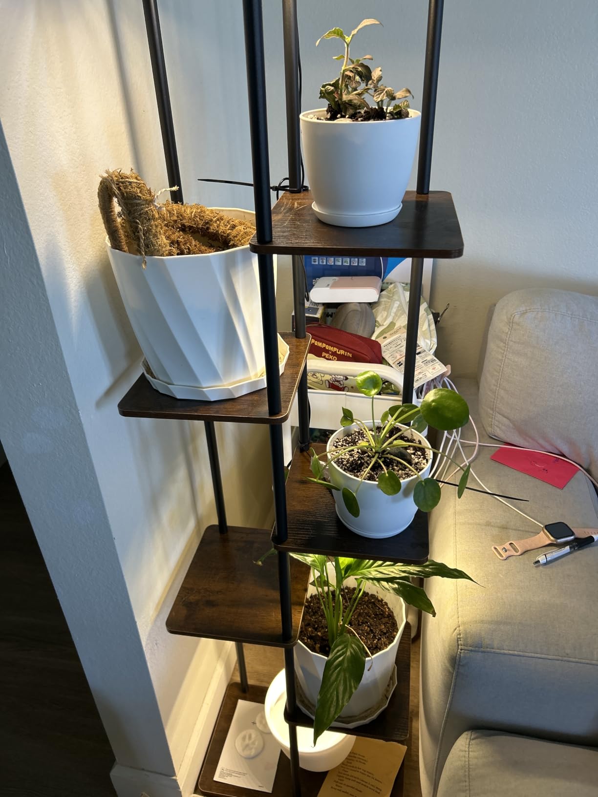Bamworld Plant Shelf with Grow Light for Indoor Plants Corner 6 Tier customer photo 2