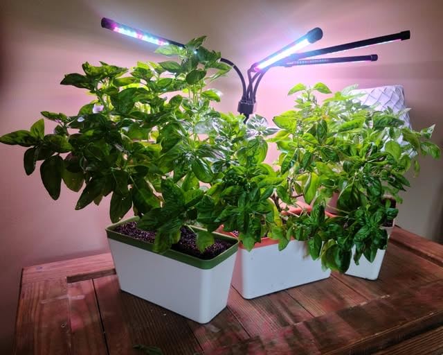 OurWarm Self Watering Pots for Indoor Plants, 6 Pack 10.5 Inch Plastic Window Herb Planter Box with Water Level Indicator, Modern Decorative Windowsill Planters for Herbs, Flowers, Seedlings customer photo 2