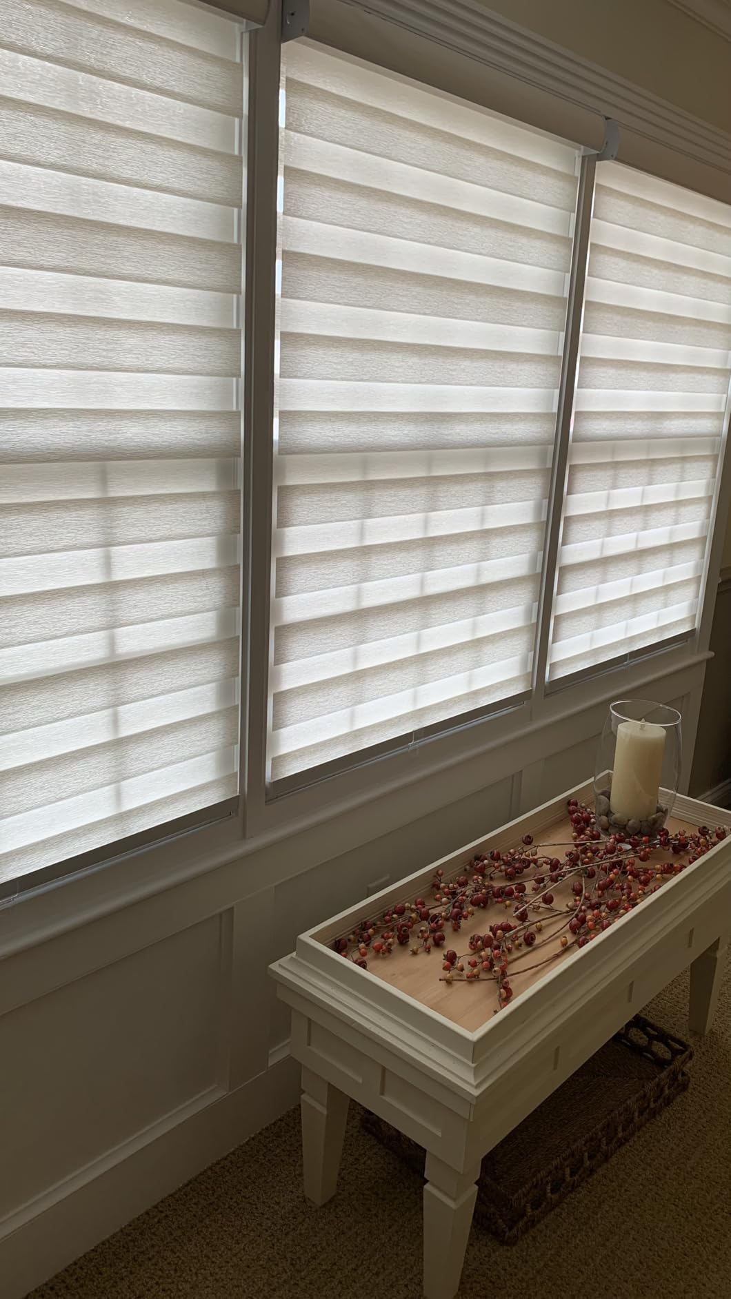 HESTIA Cordless Light Filtering Zebra Blinds, Linen, 30
