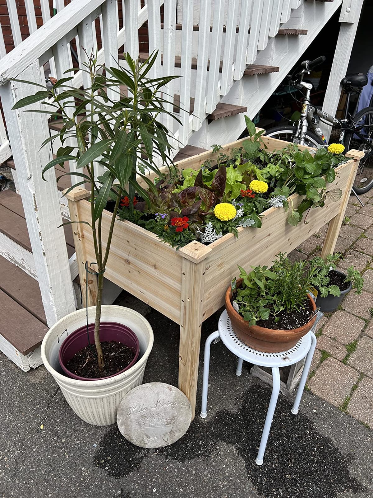AMERLIFE Raised Garden Bed, 48x30x24 Inches Elevated Wood Planter Box customer photo 1